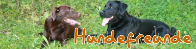 button-hundefreunde